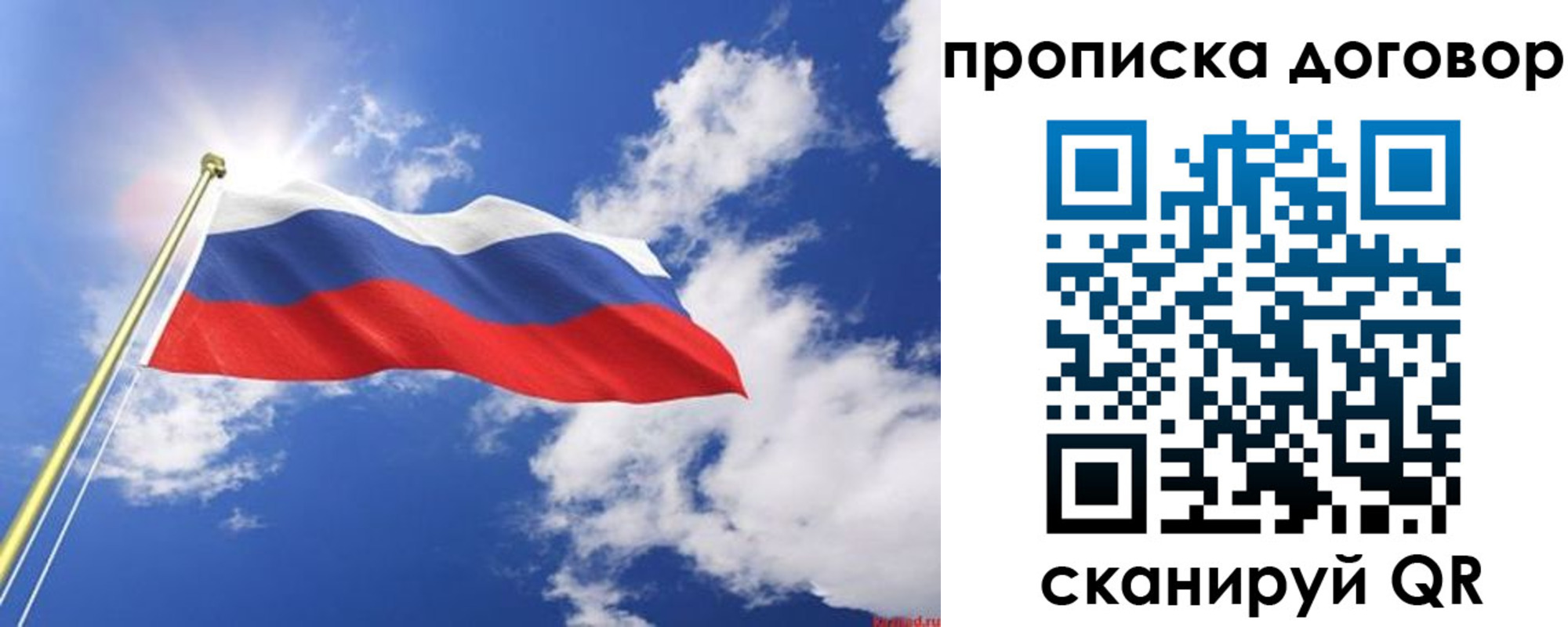 прописка гарантия в Дубовке